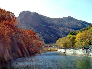 库里携妻出席体育慈善之夜引关注，库里ua