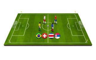 世界青少年冰壶锦标赛中国队奋勇争先，中国青少年冰壶公开赛冠军